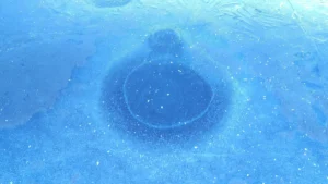 [Aggregator] Downloaded image for imported item #139437