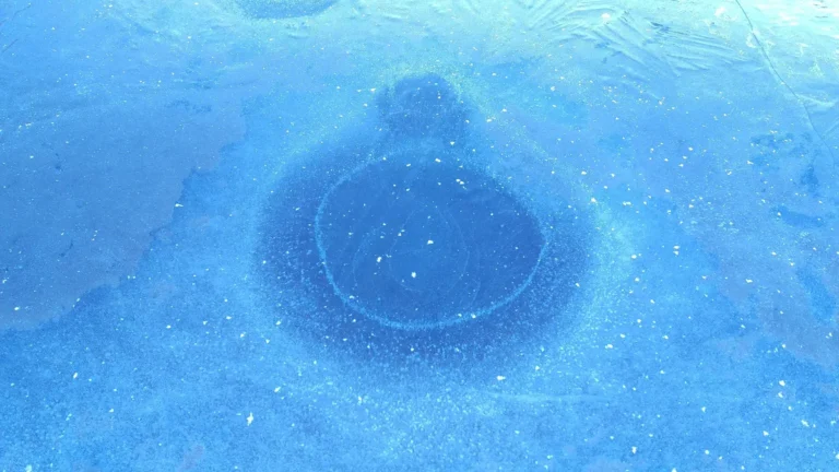 [Aggregator] Downloaded image for imported item #139437