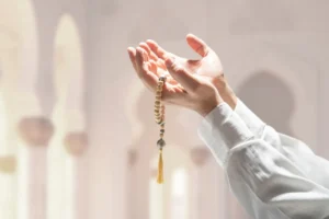 [Aggregator] Downloaded image for imported item #139425