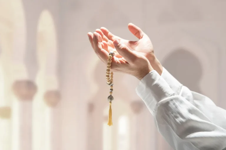 [Aggregator] Downloaded image for imported item #139425