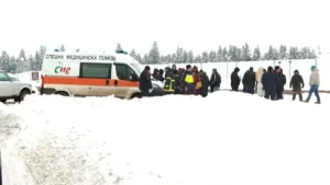 [Aggregator] Downloaded image for imported item #139591