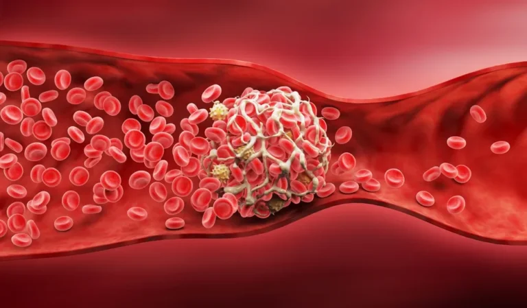 [Aggregator] Downloaded image for imported item #141473