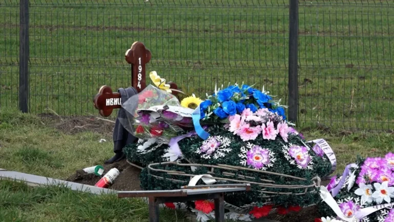 [Aggregator] Downloaded image for imported item #139322