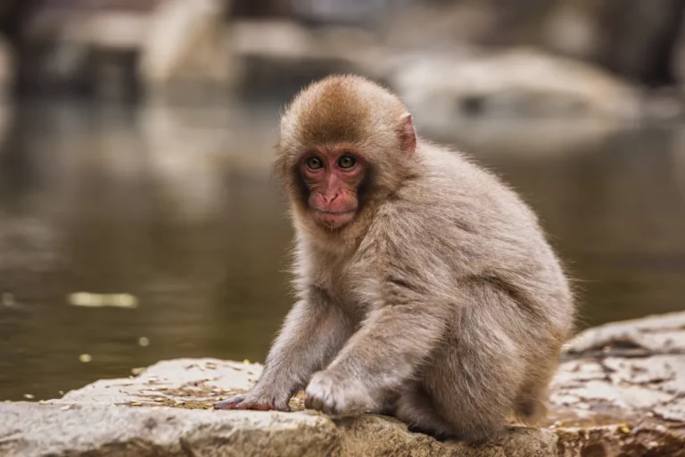 [Aggregator] Downloaded image for imported item #140713