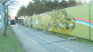 [Aggregator] Downloaded image for imported item #139621