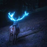 [Aggregator] Downloaded image for imported item #140189