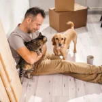 [Aggregator] Downloaded image for imported item #140690