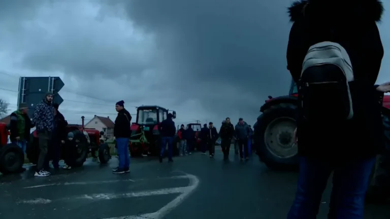 [Aggregator] Downloaded image for imported item #140744