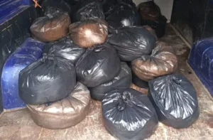 [Aggregator] Downloaded image for imported item #140717