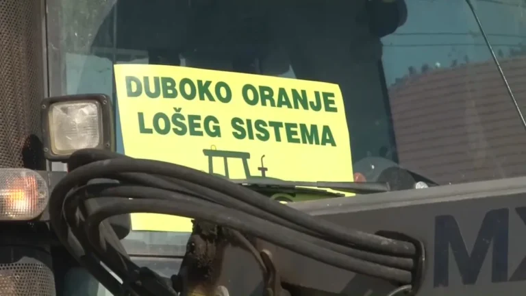 [Aggregator] Downloaded image for imported item #141283