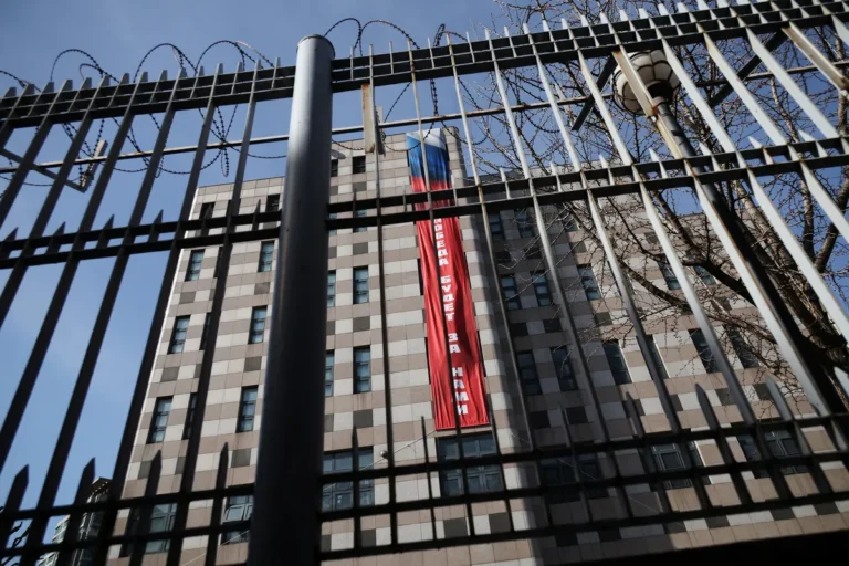 [Aggregator] Downloaded image for imported item #141791