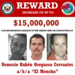 [Aggregator] Downloaded image for imported item #141661