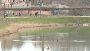 [Aggregator] Downloaded image for imported item #141983