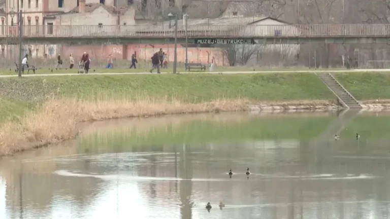 [Aggregator] Downloaded image for imported item #141983