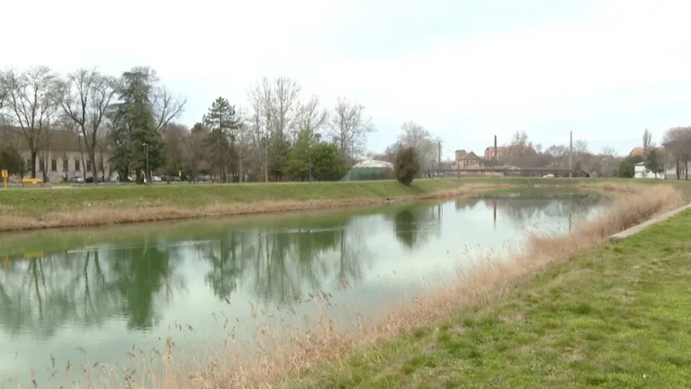 [Aggregator] Downloaded image for imported item #141873