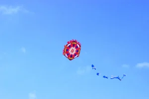 [Aggregator] Downloaded image for imported item #142009