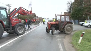 [Aggregator] Downloaded image for imported item #142465