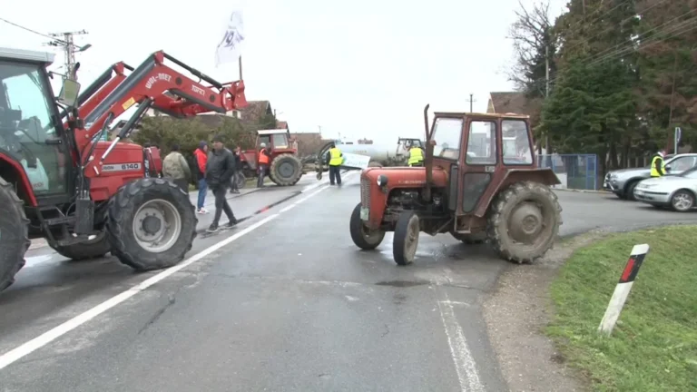 [Aggregator] Downloaded image for imported item #142465