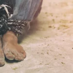 [Aggregator] Downloaded image for imported item #142488