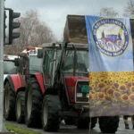 [Aggregator] Downloaded image for imported item #142355