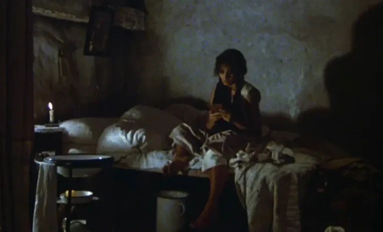 [Aggregator] Downloaded image for imported item #142852