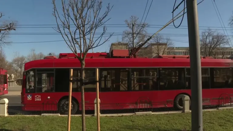 [Aggregator] Downloaded image for imported item #143239