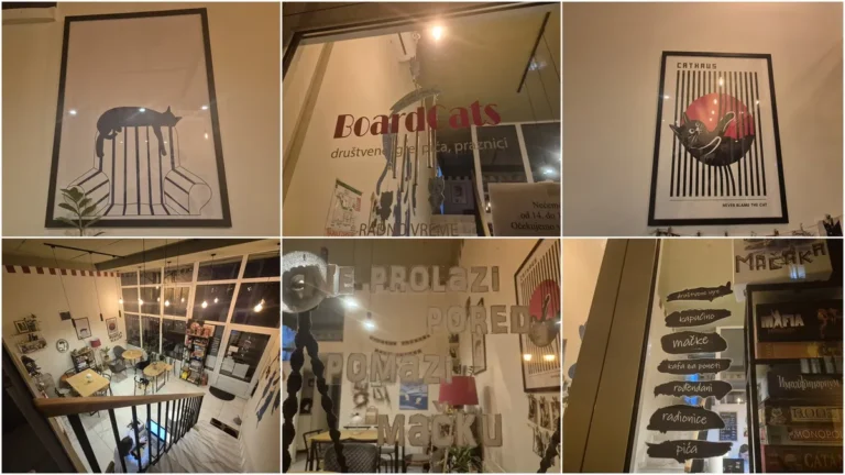 [Aggregator] Downloaded image for imported item #144448