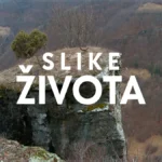 [Aggregator] Downloaded image for imported item #143192