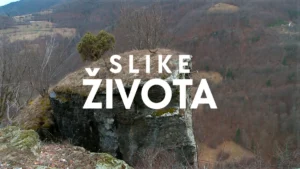 [Aggregator] Downloaded image for imported item #143192