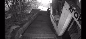 [Aggregator] Downloaded image for imported item #143522