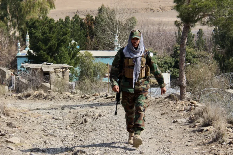 [Aggregator] Downloaded image for imported item #143725