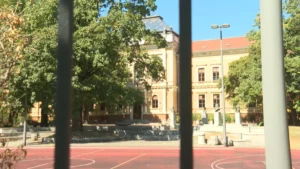 [Aggregator] Downloaded image for imported item #144190