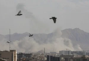 [Aggregator] Downloaded image for imported item #144561