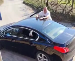 [Aggregator] Downloaded image for imported item #144491