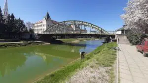 [Aggregator] Downloaded image for imported item #141390