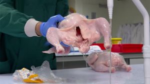 [Aggregator] Downloaded image for imported item #134441