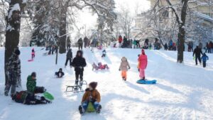 [Aggregator] Downloaded image for imported item #135384