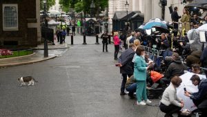 [Aggregator] Downloaded image for imported item #138669