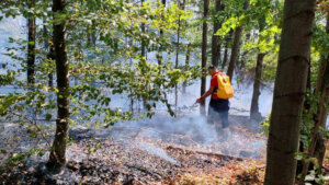 [Aggregator] Downloaded image for imported item #140045