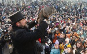 [Aggregator] Downloaded image for imported item #133230