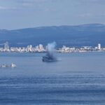 [Aggregator] Downloaded image for imported item #144399