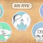 [Aggregator] Downloaded image for imported item #138704