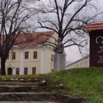 [Aggregator] Downloaded image for imported item #133984