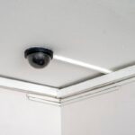 [Aggregator] Downloaded image for imported item #135359