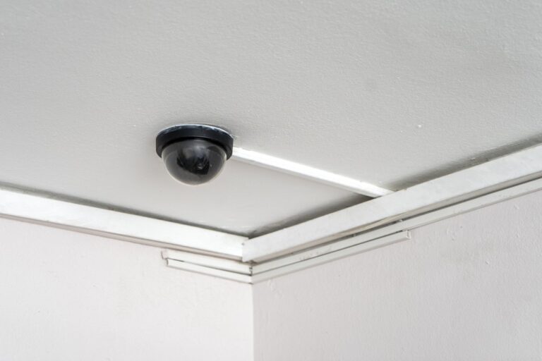 [Aggregator] Downloaded image for imported item #135359