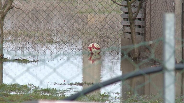 [Aggregator] Downloaded image for imported item #138525