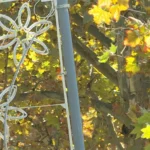 [Aggregator] Downloaded image for imported item #133648