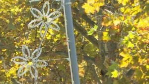 [Aggregator] Downloaded image for imported item #133648