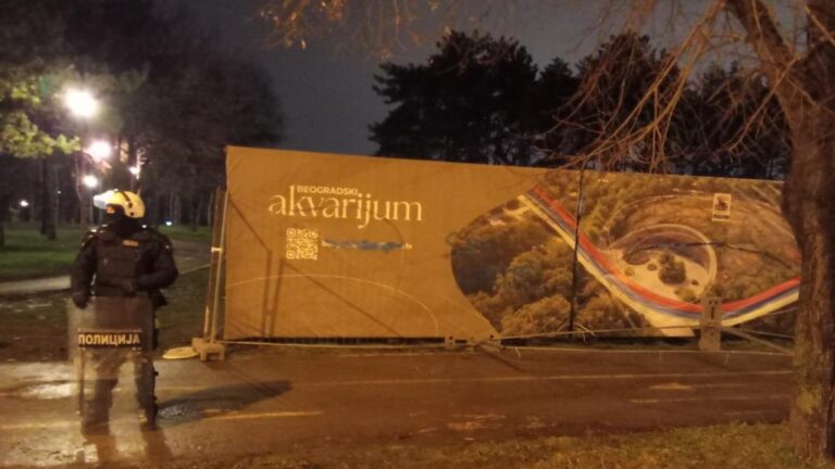 [Aggregator] Downloaded image for imported item #140436