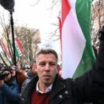 [Aggregator] Downloaded image for imported item #134260